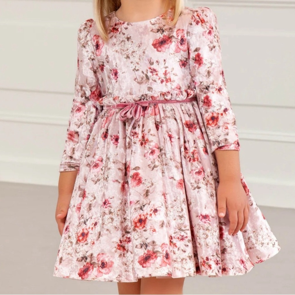 Abel & Lula Girls Floral Velvet Dress, Size 7